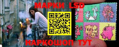 эйфоретик Славгород