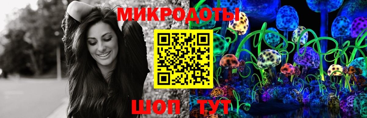 Псилоцибиновые грибы Cubensis Чусовой