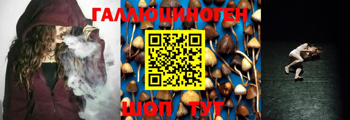Чусовой  купить закладку  Вход с VPN  Псилоцибиновые грибы Cubensis 